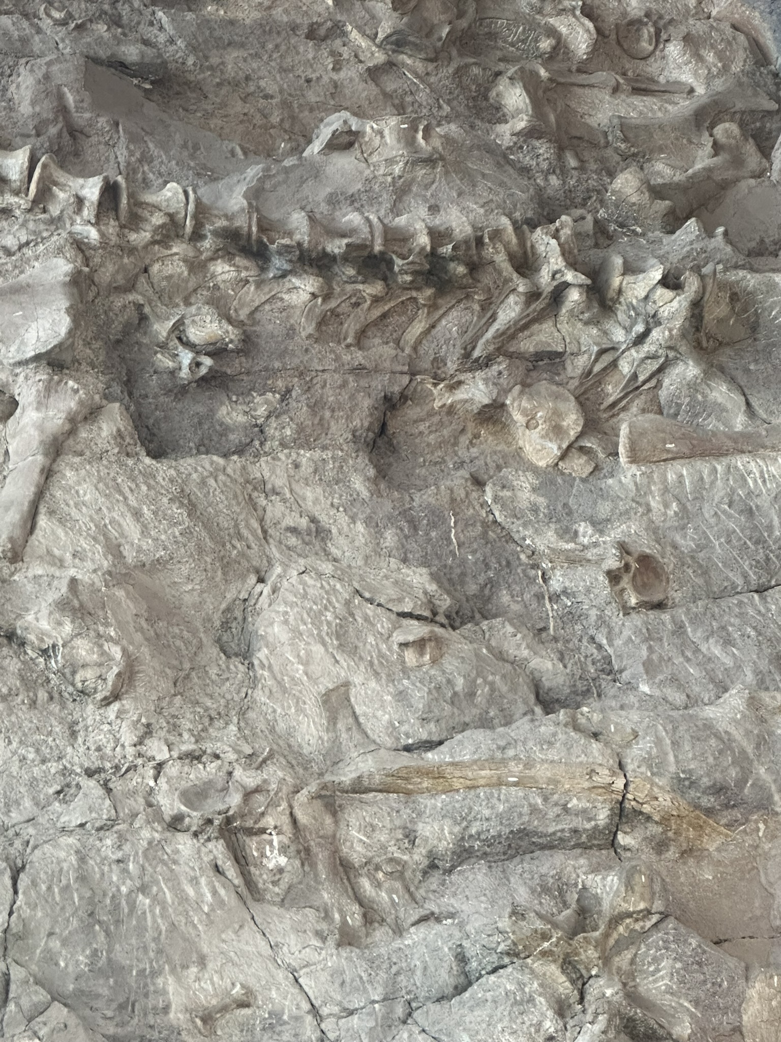 United States-National Parks-Other - Image 1890